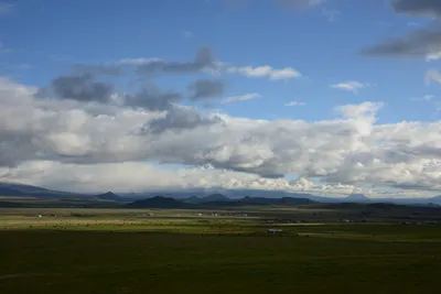 DSC_1046 (Large).JPG